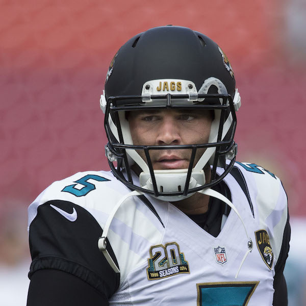 What do I need to know about the 2015 Jacksonville Jaguars?