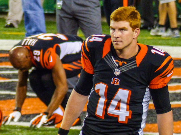 What do I need to know about the 2015 Cincinnati Bengals?