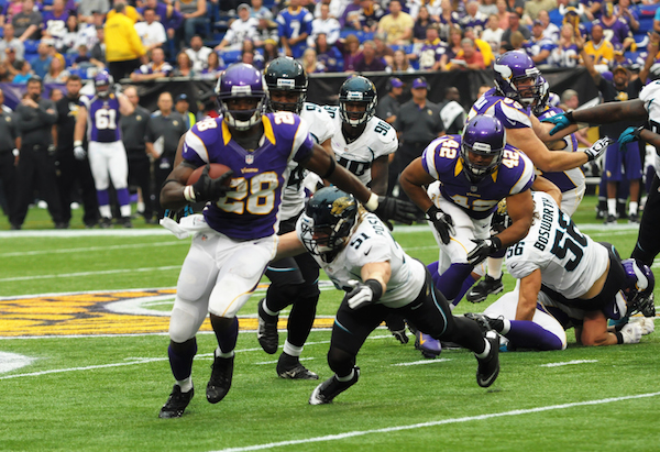 What do I need to know about the 2015 Minnesota Vikings?