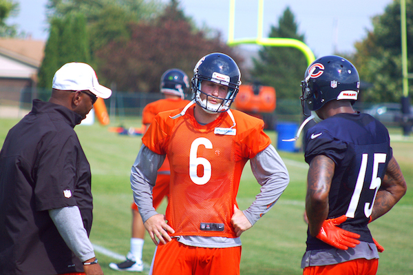 What do I need to know about the 2015 Chicago Bears?