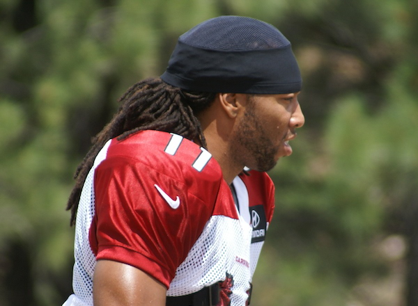 What do I need to know about the 2015 Arizona Cardinals?