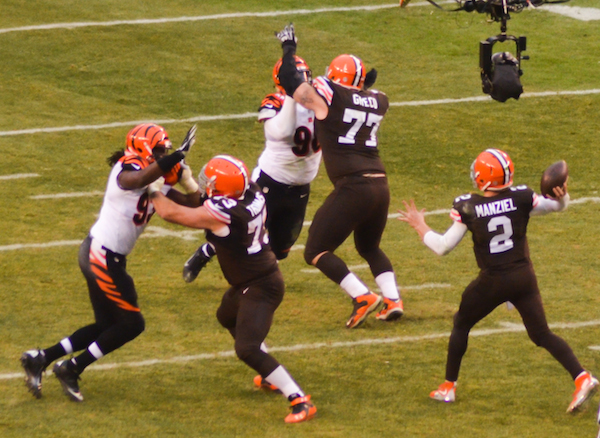 What do I need to know about the 2015 Cleveland Browns?