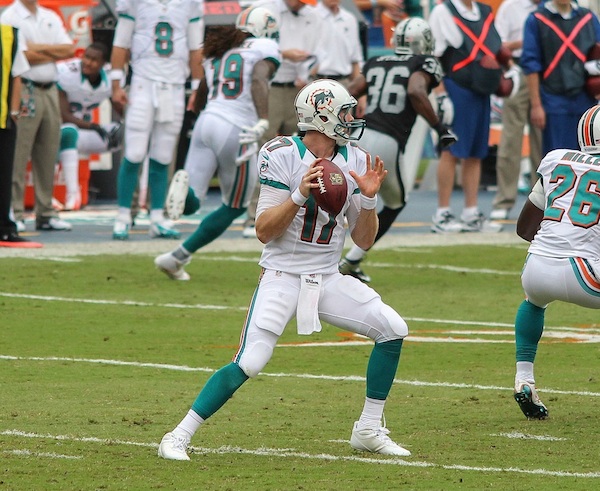 What do I need to know about the 2015 Miami Dolphins?