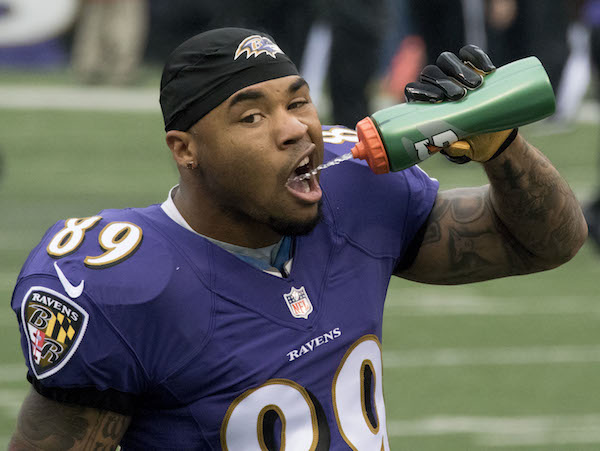 What do I need to know about the 2015 Baltimore Ravens?